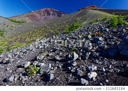 從禦天庭看到的寶永火山口和富士山山頂 從禦天庭看到的寶永火山口和富士山山頂 111683184