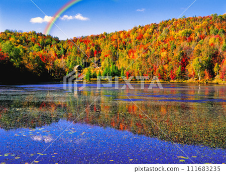 勞倫高原美麗的秋葉景色 111683235