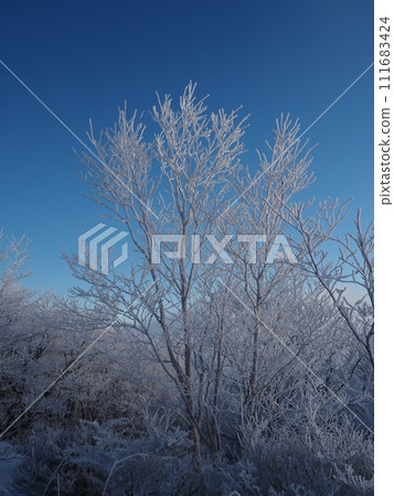 清晨雲冰 清晨雲冰 111683424