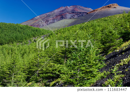 Hoei crater and Mt.Fuji summit seen from Gotenniwa Hoei crater and Mt.Fuji summit seen from Gotenniwa 111683447