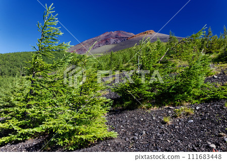 從禦天庭看到的寶永火山口和富士山山頂 從禦天庭看到的寶永火山口和富士山山頂 111683448