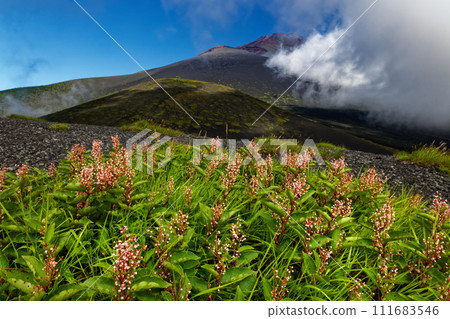 從二津塚和下塚看到的雲霧繚繞的富士山頂盛開 111683546