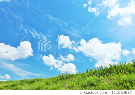 清爽的夏日藍天和清新的綠色草甸景觀 111683685