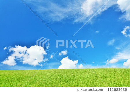 Refreshing summer blue sky and fresh green meadow landscape Refreshing summer blue sky and fresh green meadow landscape 111683686