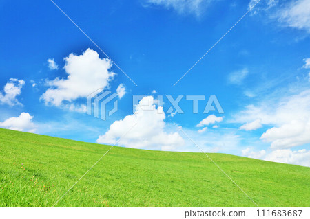 Refreshing summer blue sky and fresh green meadow landscape Refreshing summer blue sky and fresh green meadow landscape 111683687
