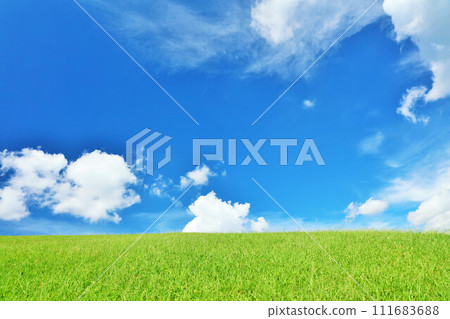 Refreshing summer blue sky and fresh green meadow landscape Refreshing summer blue sky and fresh green meadow landscape 111683688