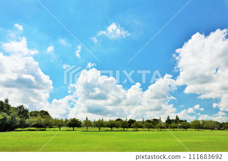 夏日藍天與清新的綠色公園風光 111683692