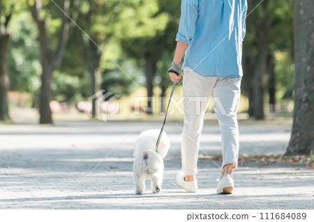Rear view, exercise, and dog therapy of a middle-aged and elderly dog lover walking his dog 111684089