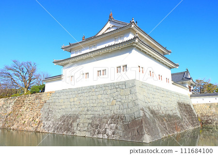 靜岡縣靜岡市駿府城辰巳櫓風景 靜岡縣靜岡市駿府城辰巳櫓風景 111684100