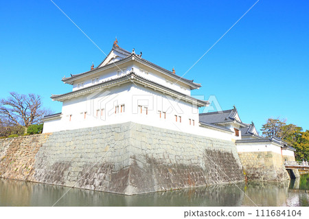 靜岡縣靜岡市駿府城辰巳櫓風景 靜岡縣靜岡市駿府城辰巳櫓風景 111684104