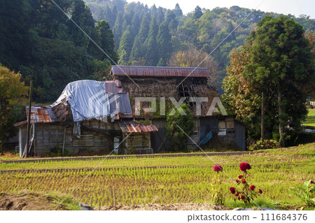 Rural scenery in Niigata 111684376