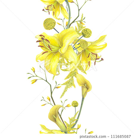Lilies Yellow flower, calla lilies, craspedia seamless border isolated on white background. Watercolor hand drawn botanic illustration. Art design wedding invitation, greeting card, decoration graphic Lilies Yellow flower, calla lilies, craspedia seamless border isolated on white background. Watercolor hand drawn botanic illustration. Art design wedding invitation, greeting card, decoration graphic 111685087