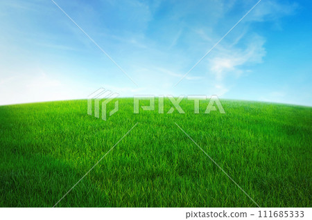 green grass field with blue sky ad white cloud. nature landscape background green grass field with blue sky ad white cloud. nature landscape background 111685333