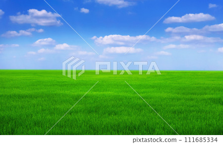 green grass field with blue sky ad white cloud. nature landscape background green grass field with blue sky ad white cloud. nature landscape background 111685334
