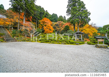 秋天的萬德寺(福井縣)庭園 秋天的萬德寺(福井縣)庭園 111685465