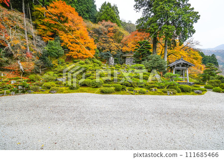 秋天的萬德寺（福井縣）庭園 111685466