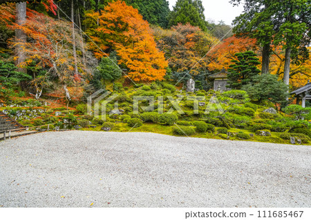 秋天的萬德寺（福井縣）庭園 111685467