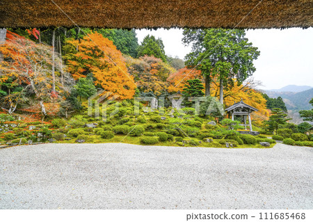 秋天的萬德寺（福井縣）庭園 111685468