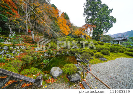 Autumn Mantokuji Temple (Fukui Prefecture) garden Autumn Mantokuji Temple (Fukui Prefecture) garden 111685529