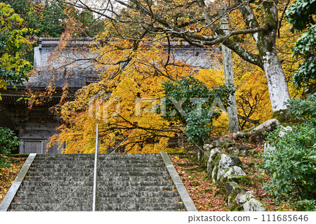 Stone steps to the main hall of Mantokuji Temple (Fukui Prefecture) 111685646
