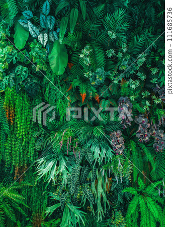 mixed leaf with flower on wall for design decorate mixed leaf with flower on wall for design decorate 111685736