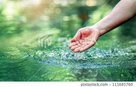 hand touches water in the pond hand touches water in the pond 111685760
