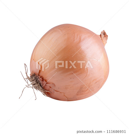 Fresh onion bulbs isolated on white background. 111686931