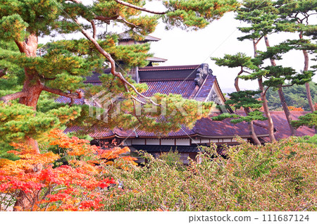 Autumn leaves Goryokaku-2 111687124