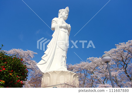 Cherry blossoms and Funaoka Heiwa Kannon (Funaoka Castle Ruins Park) [Shibata Town, Miyagi Prefecture] 111687880