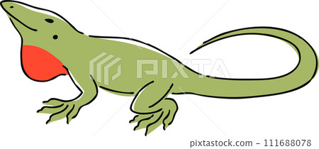 Hand drawn anole illustration Hand drawn anole illustration 111688078