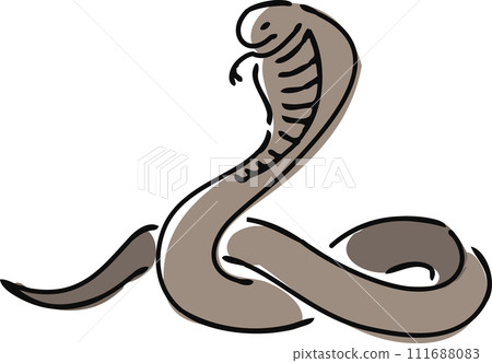 hand drawn cobra illustration 111688083