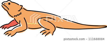 Hand drawn bearded dragon illustration 111688084