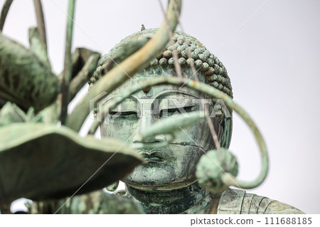 Kamakura Great Buddha from various angles 111688185