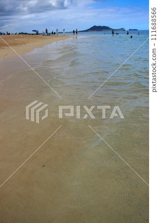 beautiful hawaii beach scenery 111688566