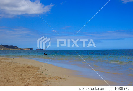 beautiful hawaii beach scenery 111688572