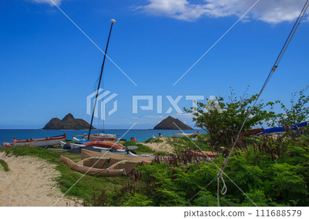 美麗的夏威夷海灘風景 美麗的夏威夷海灘風景 111688579