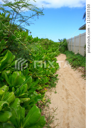 美麗的夏威夷海灘風景 美麗的夏威夷海灘風景 111688580