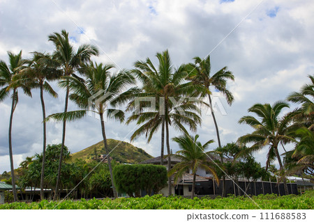 beautiful hawaii beach scenery beautiful hawaii beach scenery 111688583