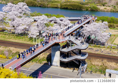 柴田千櫻橋（宮城縣大河原町） 111688650