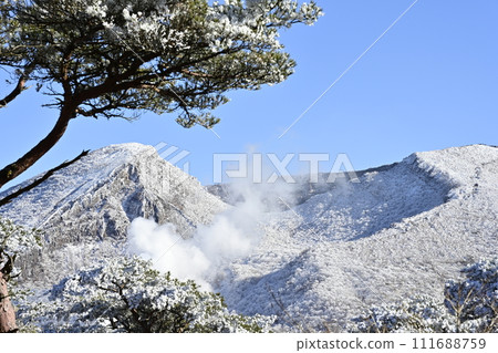韓國山和白雪皚皚的紅松林 韓國山和白雪皚皚的紅松林 111688759