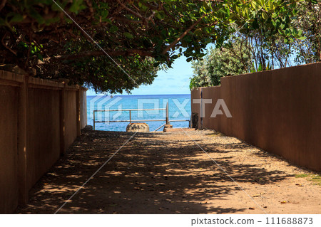 Scenery of a beautiful path leading to a beach in Hawaii Scenery of a beautiful path leading to a beach in Hawaii 111688873