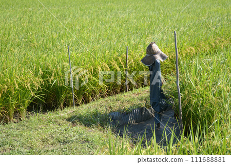 Rural scenery near Taima Temple, Katsuragi City, Nara Prefecture 111688881