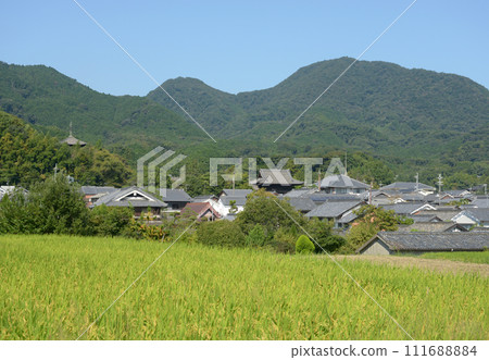 奈良縣葛城市二條山太馬寺 111688884