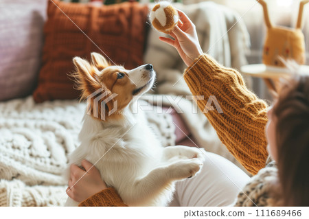 Pet Playtime,Joyful Moments with Dog or Cat in Living Room 111689466