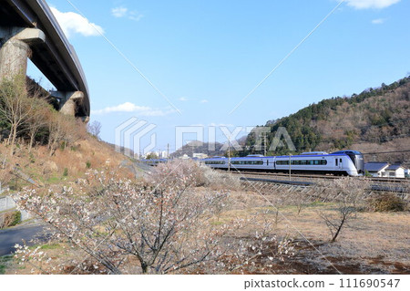 Chuo Line E353 series limited express train going to Takao Umego 111690547