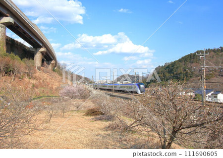 中央線E353系列特急 開往高尾梅鄉 中央線E353系列特急 開往高尾梅鄉 111690605