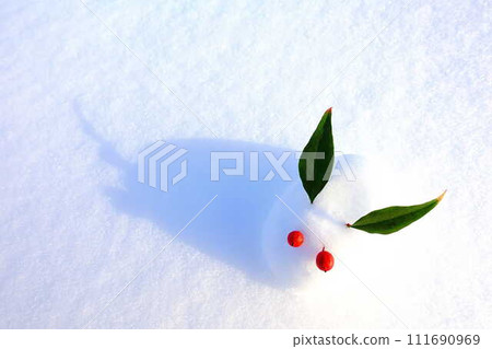 雪兔 雪雕兔 兔 兔 雪兔 雪雕兔 兔 兔 111690969