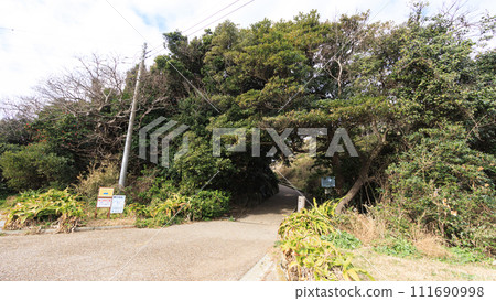 神奈川縣橫須賀市荒崎公園的冬天 111690998