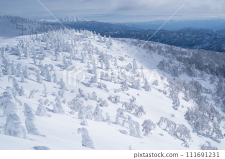 Spectacular view of Mt. Moriyoshi in winter, looking from the broad-leaved forest zone to the coniferous forest zone, with a view of Mt. Akita Komagatake in the distance, Akita Prefecture Spectacular view of Mt. Moriyoshi in winter, looking from the broad-leaved forest zone to the coniferous forest zone, with a view of Mt. Akita Komagatake in the distance, Akita Prefecture 111691231