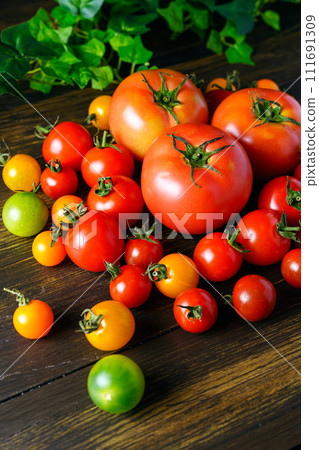 各種西紅柿 111691309
